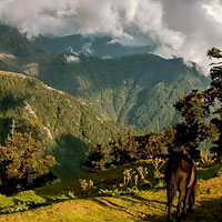 Himachal Pradesh Tours